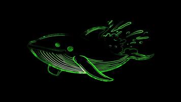 Neon frame effect, whale with a big splash coming out of its blowhole on black background video