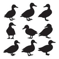 A set of silhouettes of ducks on a white background vector