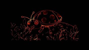 Neon frame effect, ladybug with polka dots on black background video