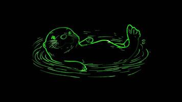 Neon frame effect, otter floating on its back with a playful expression on black background video