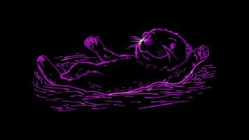Neon frame effect, otter floating on its back with a playful expression on black background video