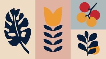 A set of four different types of leaves and flowers vector