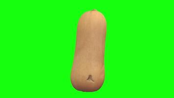 3D rendering of a butternut squash on a bright green background video