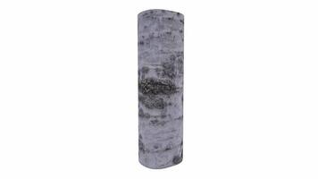 Realistic 3D rendering of a birch tree trunk in natural setting video
