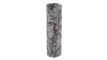 Realistic 3D rendering of a textured stone column in a natural setting video