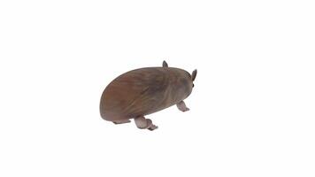 3D rendering of a small rodent exploring a natural environment video