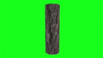 3D tree trunk with textured bark on green backdrop video