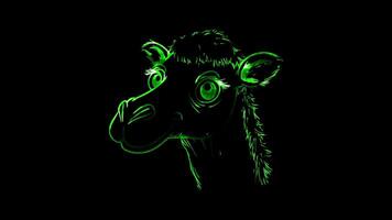 Neon frame effect, camel with a content expression and a tuft of fur on black background video