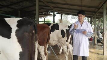 A man in a lab coat standing in front of cows video