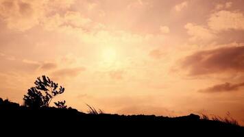 A lone tree stands on a hill at sunset video