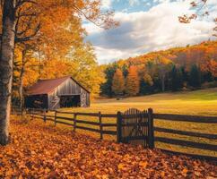 Rural autumn landscape with a barn and colorful foliage under a blue sky photo