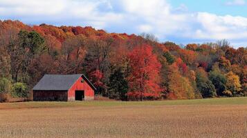 Colorful autumn rural landscape with a red barn and vibrant trees photo