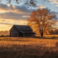 Golden autumn light illuminating a rustic barn and vibrant trees photo