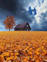 Autumn landscape featuring a rustic house and vibrant orange leaves photo