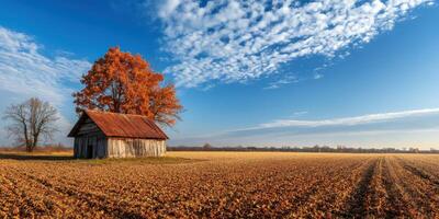 Rustic barn amidst vibrant autumn trees in a quiet landscape photo