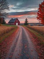Charming autumn path leading to a rustic red barn in rural landscape photo