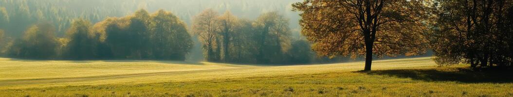 Autumn landscape with colorful trees and serene fields at dawn photo