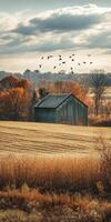 Rustic barn surrounded by autumn foliage and migrating birds at dusk photo