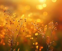 Golden autumn grassland with vivid wildflowers under warm sunlight photo