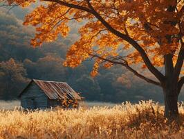 Autumn rural landscape featuring a weathered cabin and golden foliage photo