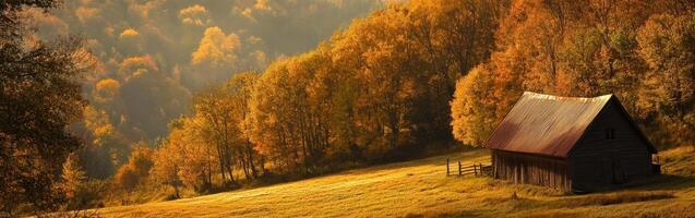 Autumn rural landscape featuring a rustic barn among golden foliage photo