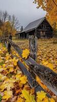 Autumn foliage blankets a rustic barn surrounded by tranquil countryside photo