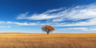 Vibrant autumn grassland with a solitary tree under a bright blue sky photo