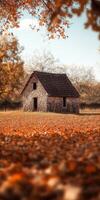 Charming rural house surrounded by autumn leaves in a peaceful countryside photo