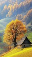 Bright autumn colors in a rural landscape featuring a quaint house photo