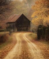 Autumn rural path leads to a rustic barn surrounded by colorful foliage photo