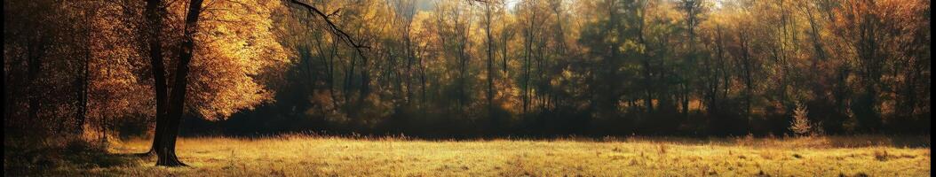 Vibrant autumn grassland with colorful trees under soft sunlight photo