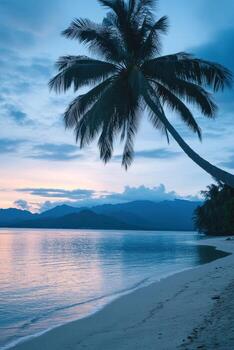 Tropical beach at dusk with palm trees and calm waves under a colorful sky photo