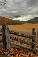 Autumn rural landscape featuring a wooden fence and golden fields photo