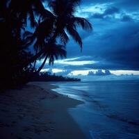 Tropical beach at dusk with palm trees and gentle waves washing ashore photo