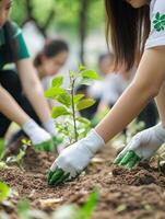 Community members planting young trees in a local park during spring photo