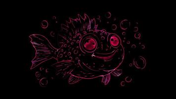 Neon frame effect, pufferfish puffed up and smiling, surrounded by small bubbles on black background video