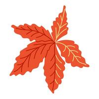 Red autumn leaf of ivy tree in hand drawn flat style vector