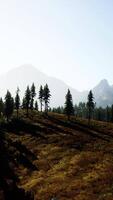 Landscape view of the mountain range with trees in the fall video