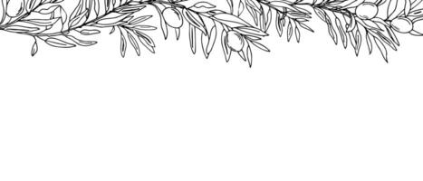 Horizontal Frame, Border with Olive Branches and fruits. Hand drawn Graphic illustration. Botanical Sketch. Perfect as a web banner, card and invitation template, for menu design. vector