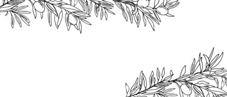 Horizontal Frame, Border with Olive Tree Branches and fruits. Hand drawn Sketch. Botanical illustration. Perfect as a web banner, card and invitation template vector