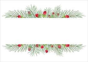 Evergreen branches with red berries Christmas horizontal frame with empty space for text. Fir, pine and St Johns wort berry watercolor illustration. Merry Christmas and happy new year card vector