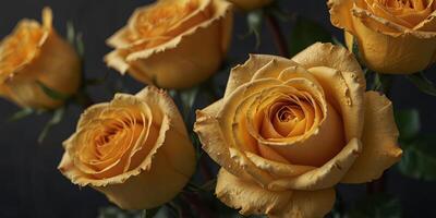 A vibrant bouquet of yellow roses with an inviting copy space image. photo