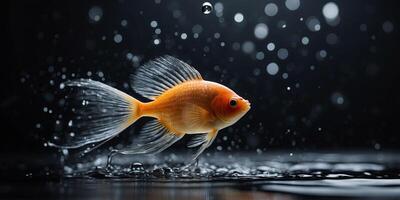 Watersplash in the Shape of a Fish on Black Background. photo