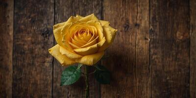 A luxurious yellow rose with delicate petals on a rustic wooden background viewed from the top creating ample space for additional images. photo