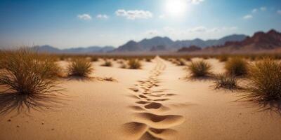 as walking through the desert with a sky background. photo