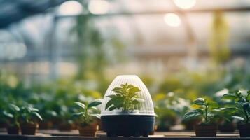 With the use of advanced technology, this greenhouse is able to regulate temperature, humidity, and light levels to create the perfect environment for delicate plants to grow and flourish photo