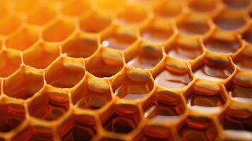 A macro shot of a honeycomb, showcasing the geometrically symmetrical hexagonal cells. photo