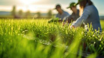 A group of researchers conduct experiments in the field, testing the effectiveness of different cover crops for managing pests in a sustainable and chemicalfree manner. photo