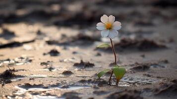 The floodwaters may have swept away everything in their path, but one tiny flower bravely floats on, defying the odds. photo