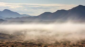 Foggy Visions The desert transforms into a hazy dreamscape with a dense fog rolling in. photo